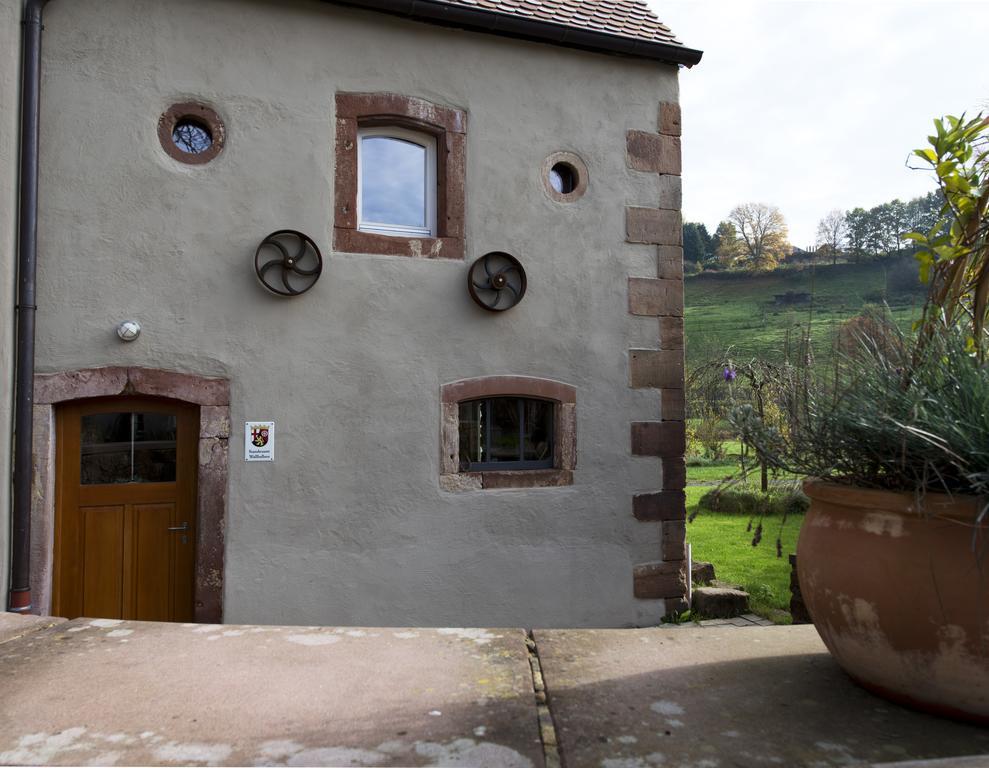 Hotel Landgrafen-Muehle Wallhalben Esterno foto