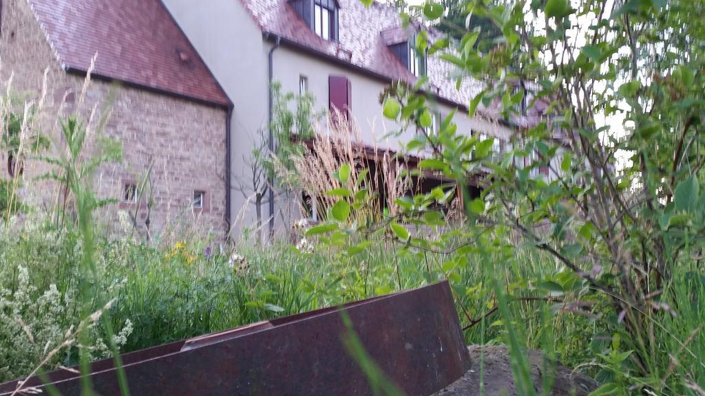 Hotel Landgrafen-Muehle Wallhalben Esterno foto