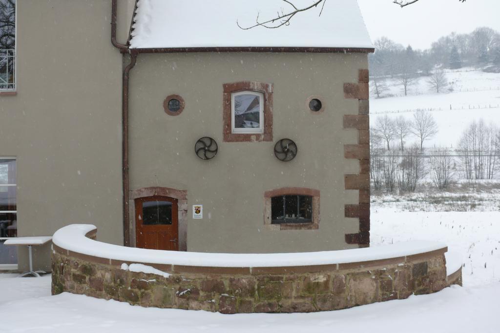 Hotel Landgrafen-Muehle Wallhalben Esterno foto